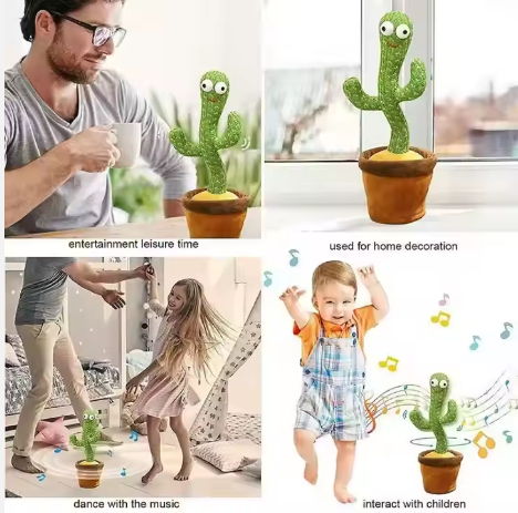 Baby Dancing Cactus